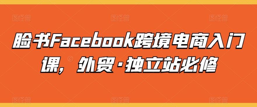 脸书Facebook跨境电商入门课，外贸·独立站必修-博库