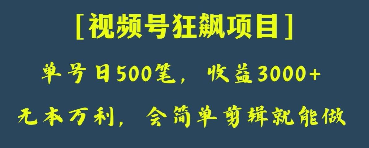 日收款500笔，纯利润3000+，视频号狂飙项目，会简单剪辑就能做【揭秘】-博库