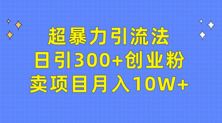 (9954期)超暴力引流法，日引300+创业粉，卖项目月入10W+-博库