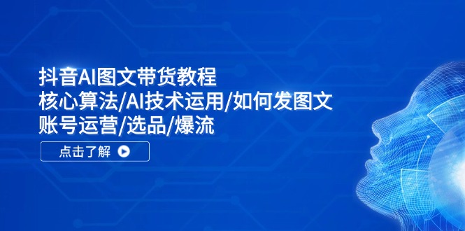 抖音AI图文带货教程：核心算法/AI技术运用/如何发图文/账号运营/选品/爆流-博库