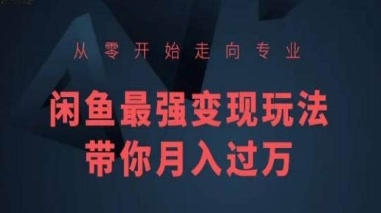 从零开始走向专业，闲鱼最强变现玩法带你月入过万-博库