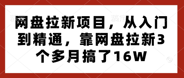 网盘拉新项目，从入门到精通，靠网盘拉新3个多月搞了16W-博库