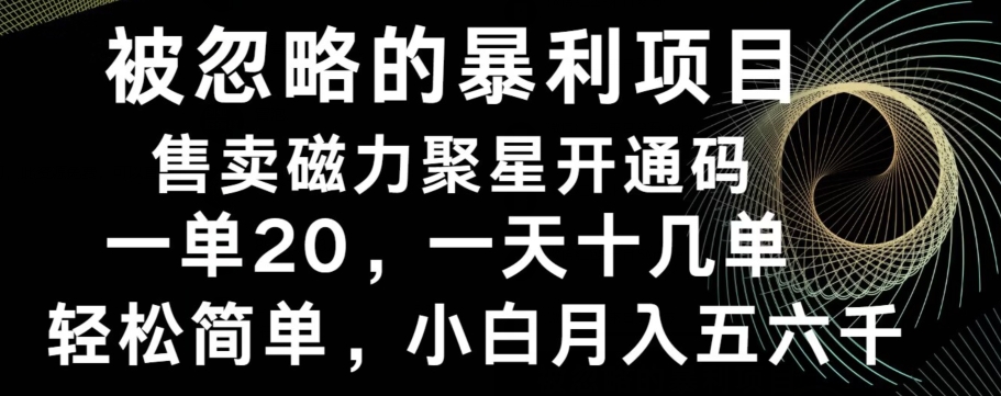 被忽略的暴利项目！售卖磁力聚星开通码，一单20，一天十几单，轻松月入五六千-博库