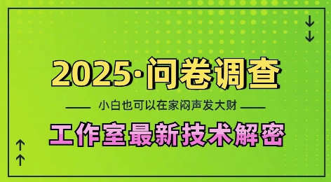 2025问卷调查最新工作室技术解密：一个人在家也可以闷声发大财，小白一天2张，可矩阵放大【揭秘】-博库