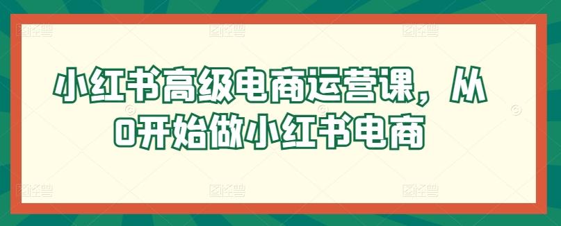 小红书高级电商运营课，从0开始做小红书电商-博库