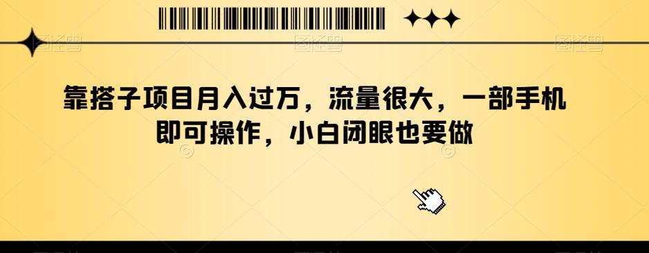 靠搭子项目月入过万，流量很大，一部手机即可操作，小白闭眼也要做-博库