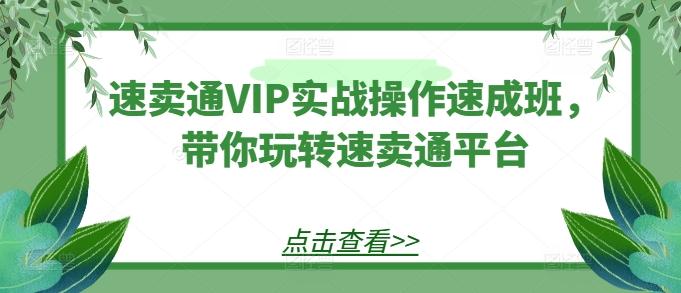 速卖通VIP实战操作速成班，带你玩转速卖通平台-博库