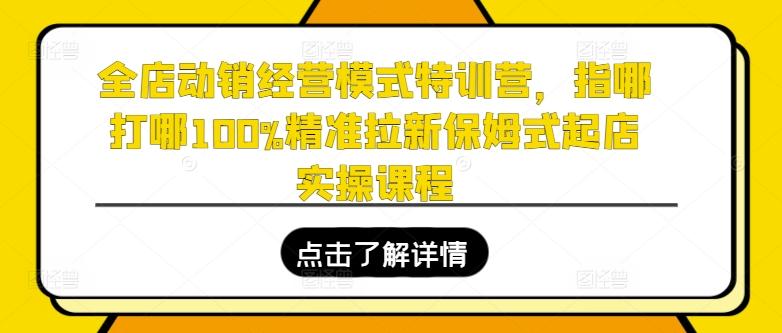 全店动销经营模式特训营，指哪打哪100%精准拉新保姆式起店实操课程-博库