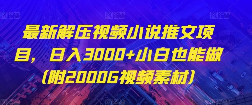 最新解压视频小说推文项目，日入3000+小白也能做（附2000G视频素材）【揭秘】-博库