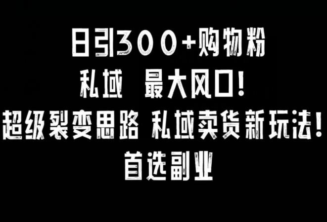 日引300+购物粉，超级裂变思路，私域卖货新玩法，小红书首选副业【揭秘】-博库