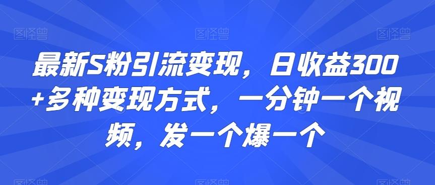 最新S粉引流变现，日收益300+多种变现方式，一分钟一个视频，发一个爆一个【揭秘】-博库