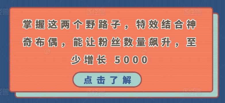 掌握这两个野路子，特效结合神奇布偶，能让粉丝数量飙升，至少增长 5000【揭秘】-博库