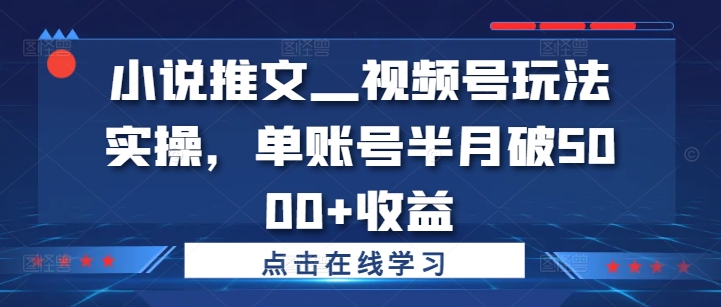 小说推文—视频号玩法实操，单账号半月破5000+收益-博库