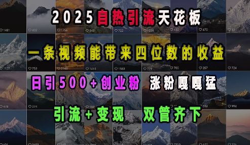 2025自热引流天花板，一条视频能带来四位数的收益，引流+变现双管齐下，日引500+创业粉，涨粉嘎嘎猛-博库