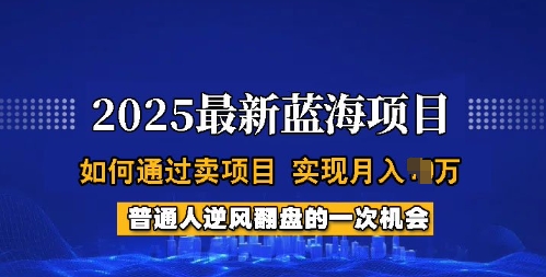 2025蓝海项目，普通人如何通过卖项目，实现月入过W，全过程【揭秘】-博库