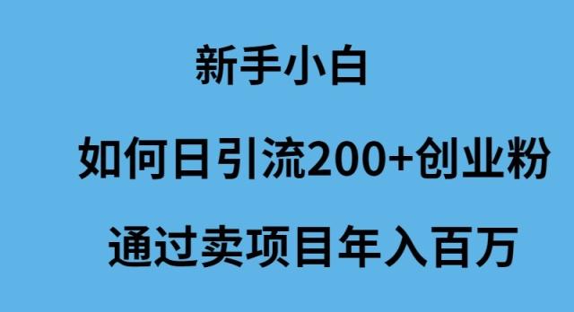 (9668期)新手小白如何日引流200+创业粉通过卖项目年入百万-博库