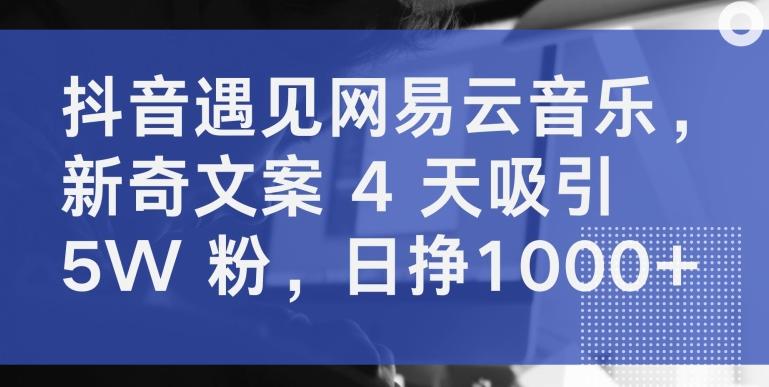 抖音遇见网易云音乐，新奇文案 4 天吸引 5W 粉，日挣1000+【揭秘】-博库