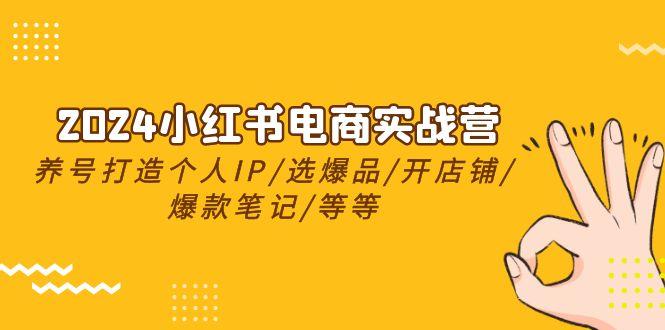 2024小红书电商实战营，养号打造IP/选爆品/开店铺/爆款笔记/等等(24节)-博库