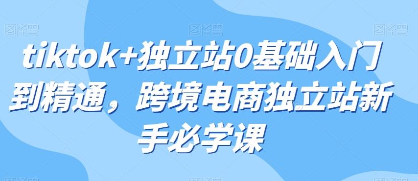 tiktok+独立站0基础入门到精通，跨境电商独立站新手必学课-博库