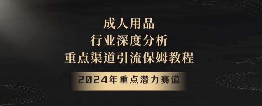 2024年重点潜力赛道，成人用品行业深度分析，重点渠道引流保姆教程【揭秘】-博库