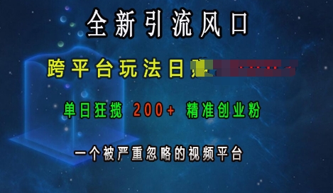 全新引流风口，跨平台玩法日入上k，单日狂揽200+精准创业粉，一个被严重忽略的视频平台-博库