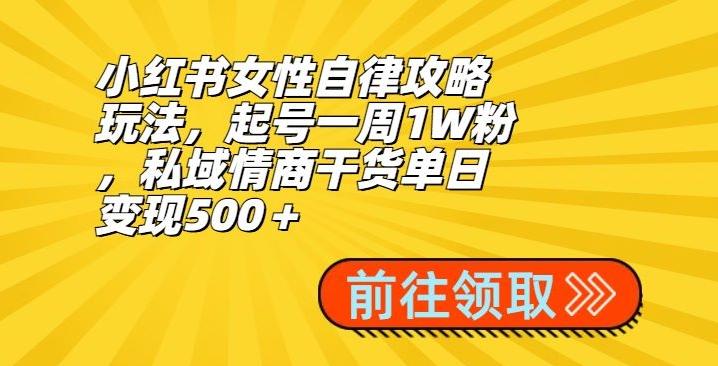 小红书女性自律攻略玩法，起号一周1W粉，私域情商干货单日变现500＋-博库