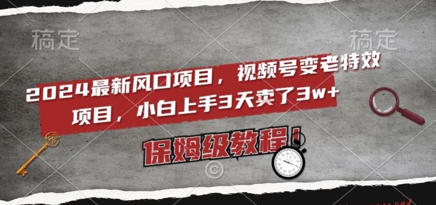 2024最新风口项目，视频号变老特效项目，电脑小白上手3天卖了3w+，保姆级教程【揭秘】-博库