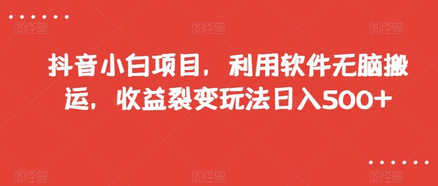 抖音小白项目，利用软件无脑搬运，收益裂变玩法日入500+【揭秘】-博库