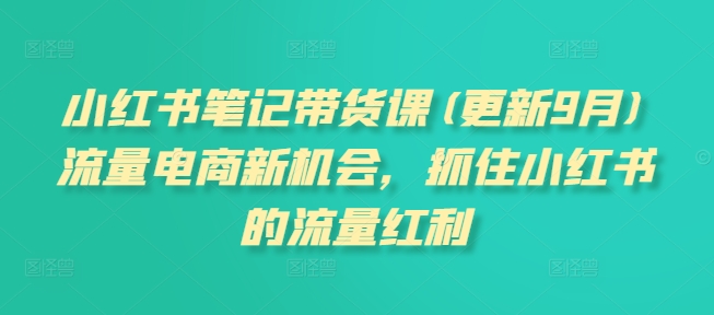 小红书笔记带货课(更新25年1月)流量电商新机会，抓住小红书的流量红利-博库