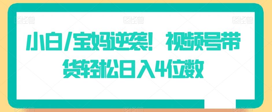 小白/宝妈逆袭！视频号带货轻松日入4位数【揭秘】-博库