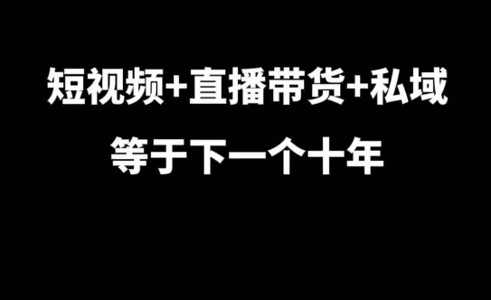 短视频+直播带货+私域等于下一个十年，大佬7年实战经验总结-博库