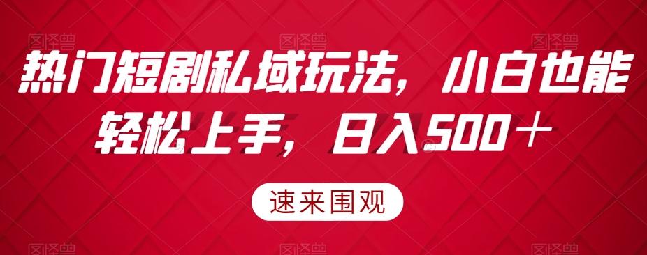 热门短剧私域玩法，小白也能轻松上手，日入500＋-博库