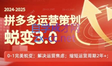 大力老师·2024拼多多运营策略蜕变3.0-博库