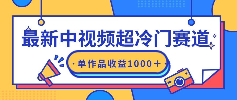 (9275期)最新中视频超冷门赛道，轻松过原创，单条视频收益1000＋-博库