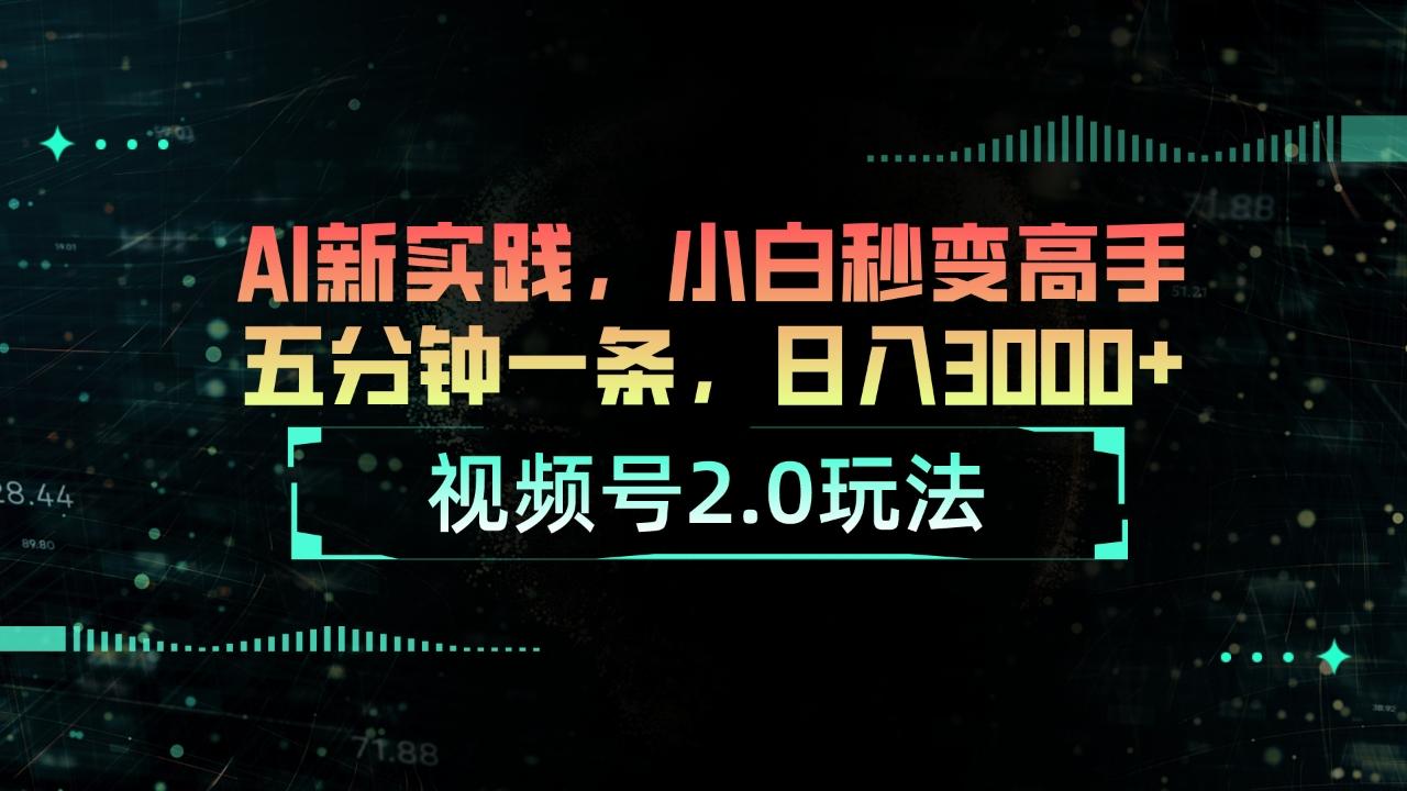 视频号2.0玩法 AI新实践，小白秒变高手五分钟一条，日入3000+-博库