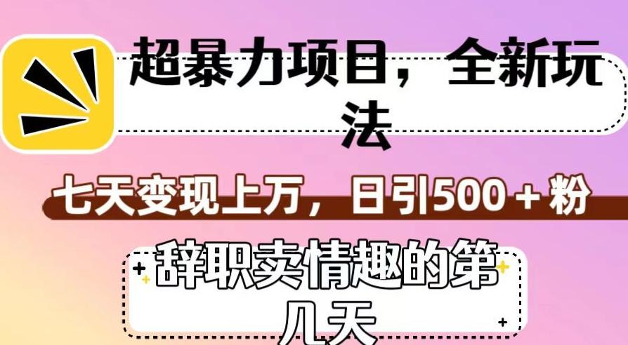 超暴利项目，全新玩法（辞职卖情趣的第几天），七天变现上万，日引500+粉【揭秘】-博库