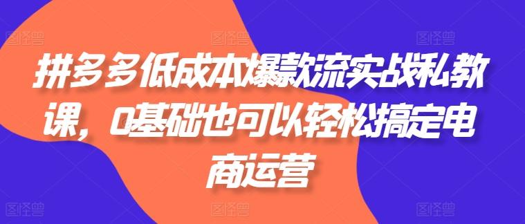 拼多多低成本爆款流实战私教课，0基础也可以轻松搞定电商运营-博库