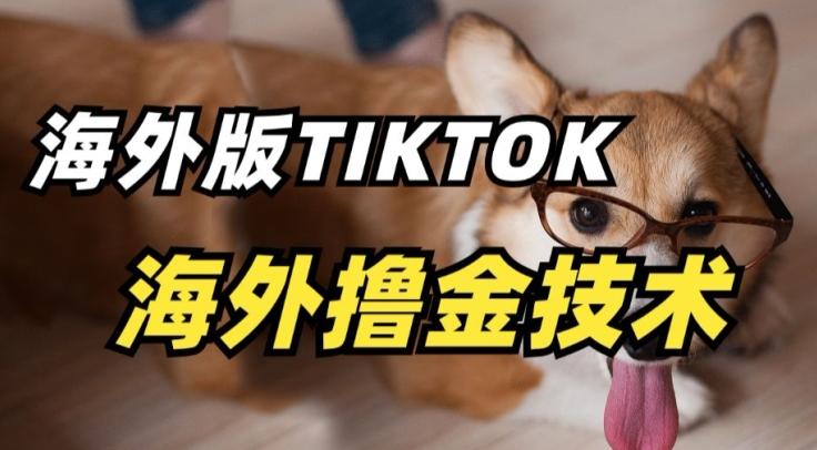 抖音海外版tiktok撸金技术，这个风口行业，赚钱真的不难【揭秘】-博库