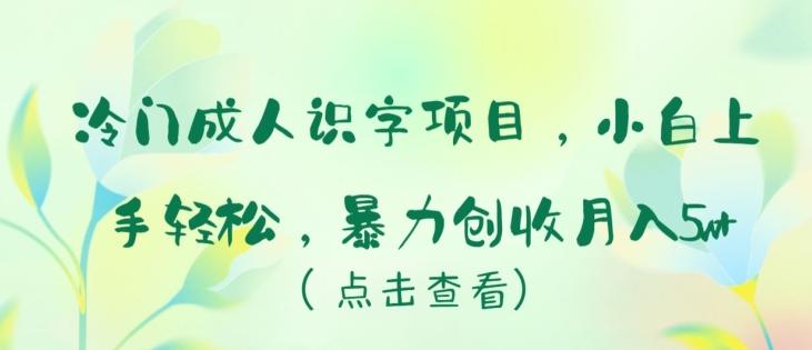 冷门成人识字项目，小白上手轻松，暴力创收月入5w+【揭秘】-博库