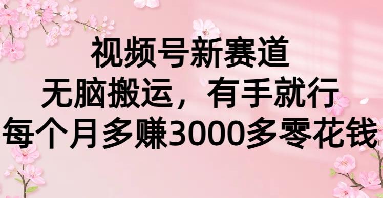 (9278期)视频号新赛道，无脑搬运，有手就行，每个月多赚3000多零花钱-博库