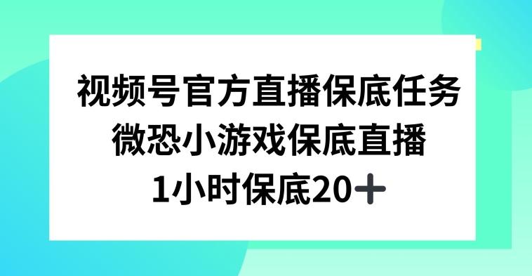 视频号直播任务，微恐小游戏，1小时20+【揭秘】-博库