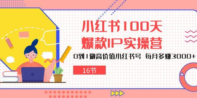 小红书100天-爆款IP实操营，0到1做高价值小红书号 每月多赚3000+(16节-博库