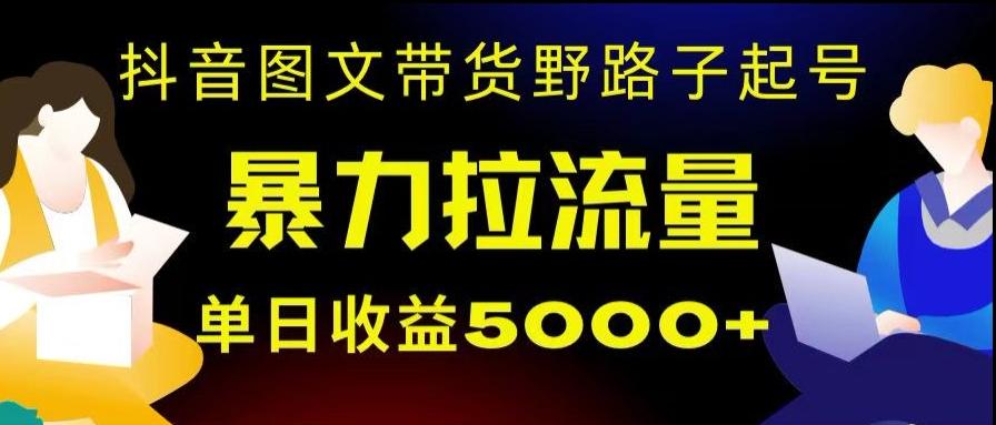 抖音图文带货暴力起号，单日收益5000+，野路子玩法，简单易上手，一部手机即可【揭秘】-博库