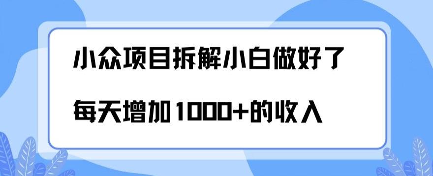 小众项目拆解，小白做好了每天可增加1000多的收入-博库