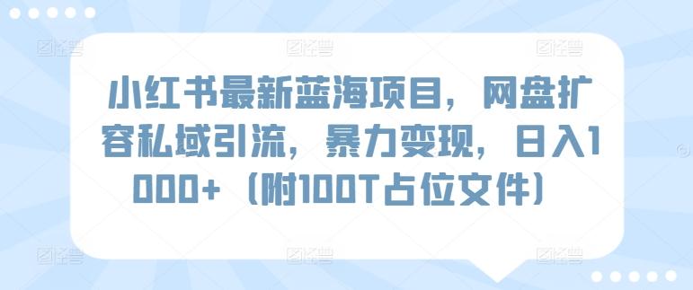 小红书最新蓝海项目，网盘扩容私域引流，暴力变现，日入1000+(附100T占位文件)【揭秘】-博库