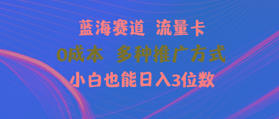 蓝海赛道 流量卡 0成本 小白也能日入三位数-博库