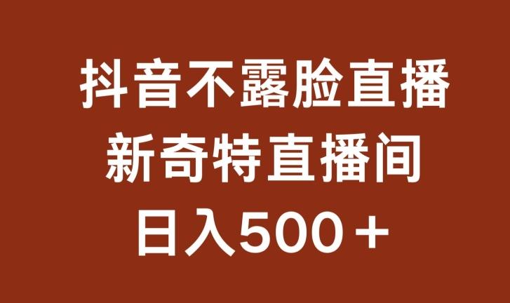 不露脸挂机直播，新奇特直播间，日入500+【揭秘】-博库