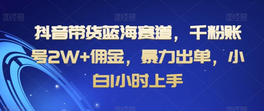 抖音带货蓝海赛道，千粉账号2W+佣金，暴力出单，小白1小时上手【揭秘】-博库