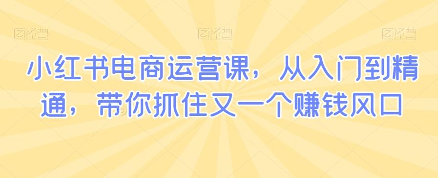 小红书电商运营课，从入门到精通，带你抓住又一个赚钱风口-博库