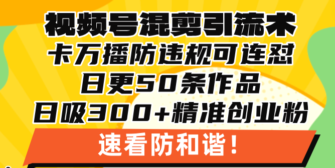 视频号混剪引流技术，500万播放引流17000创业粉，操作简单当天学会-博库